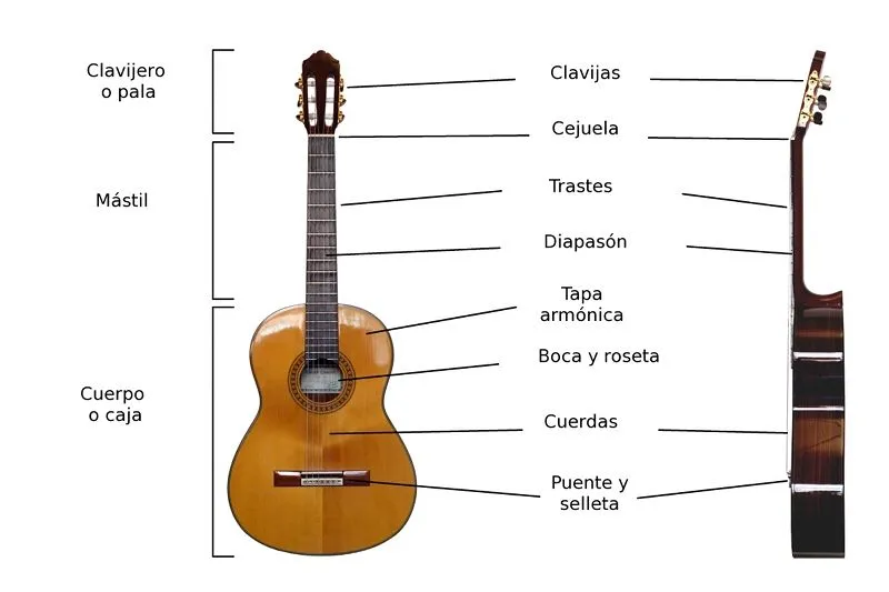 Dibujos de guitarras con sus partes - Imagui