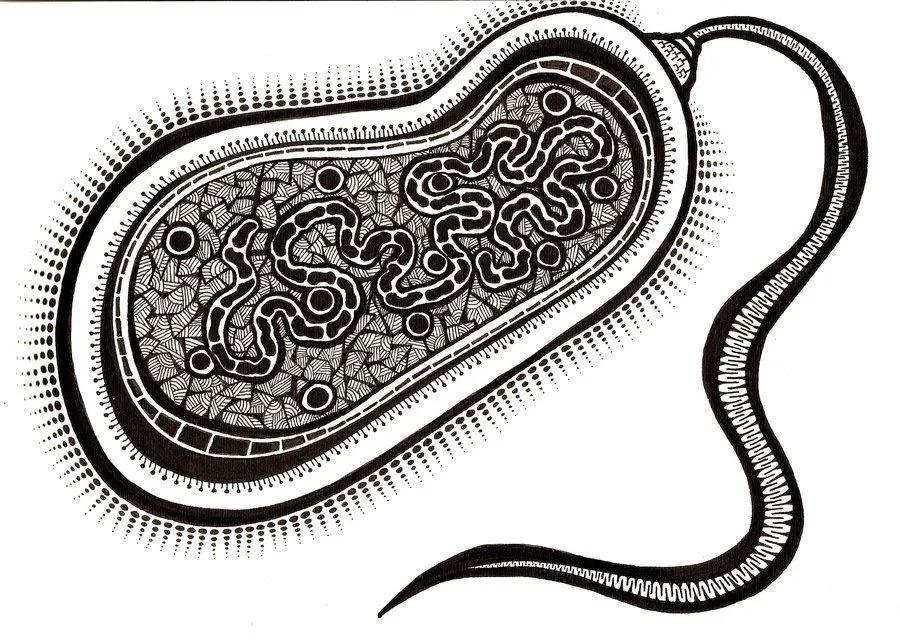 Dibujos de hongos y bacterias para colorear - Imagui