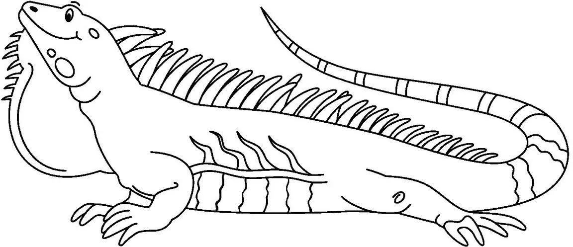 Dibujos Ideia Criativa: Iguana Colorir