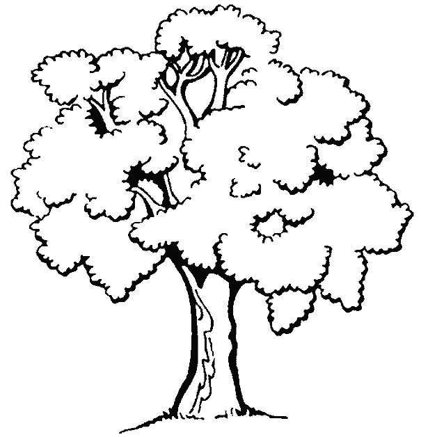 Dibujos para imprimir y colorear: Árbol para colorear