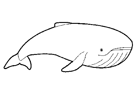 Dibujos para imprimir y colorear: Ballenas para colorear