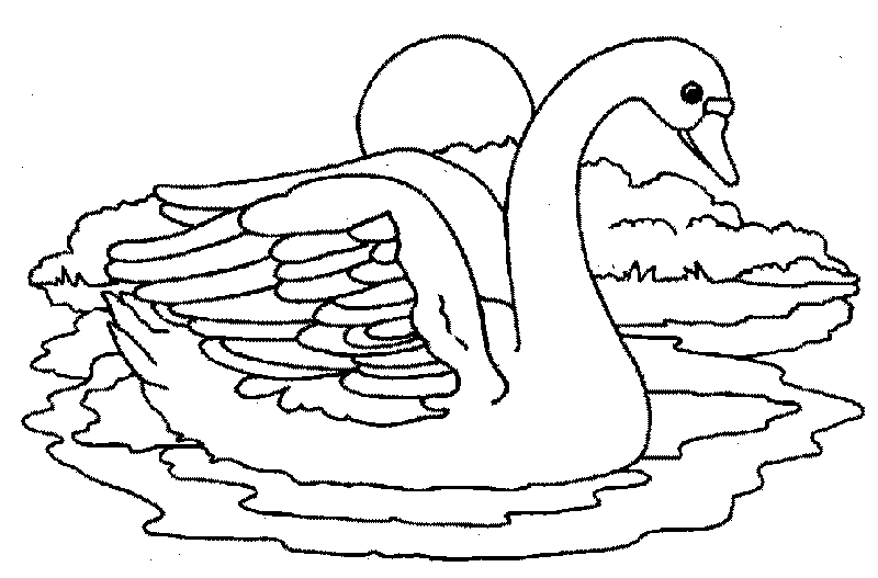 Dibujos para colorear el lago de los cisnes - Imagui