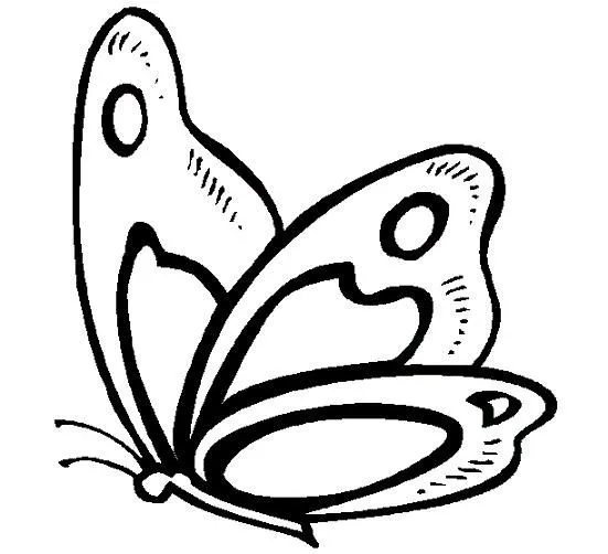 Mariposas para colorear | Dibujos infantiles, imagenes cristianas