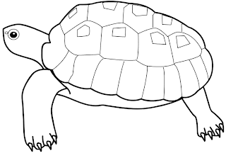 Dibujos para imprimir y colorear: Tortugas para colorear