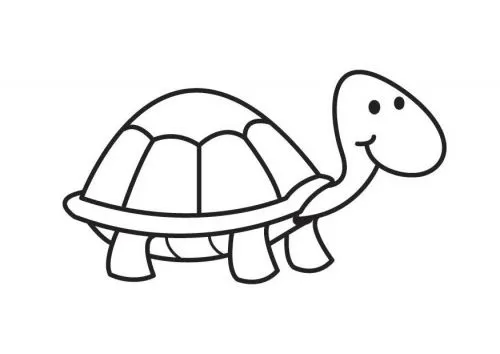 Dibujos de tortuga para colorear - Imagui