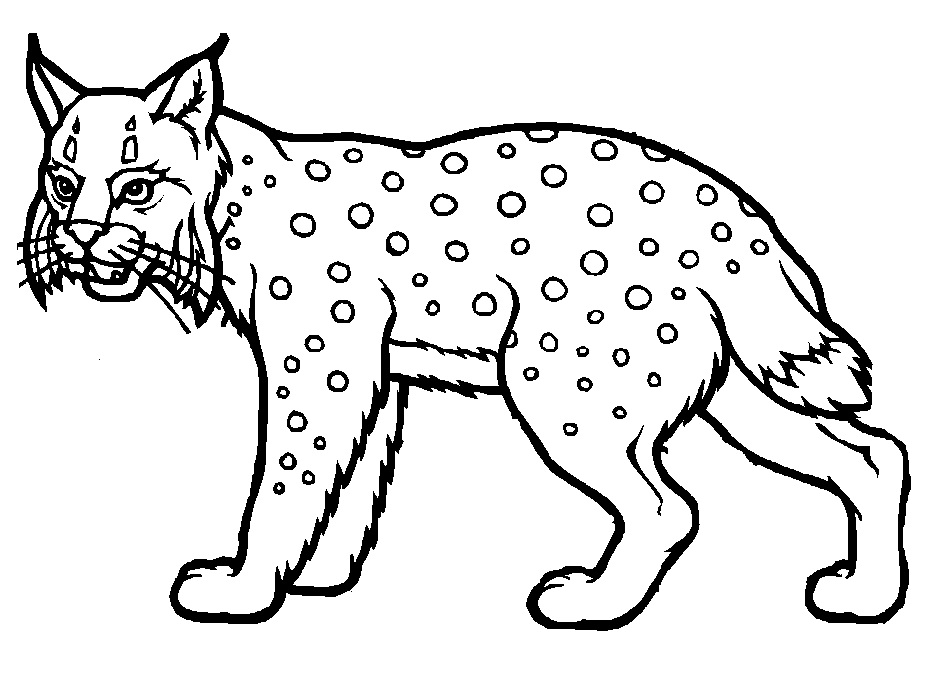 Dibujos infantiles de linces para colorear