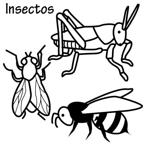 DIBUJOS DE INSECTOS PARA COLOREAR | Dibujos para colorear