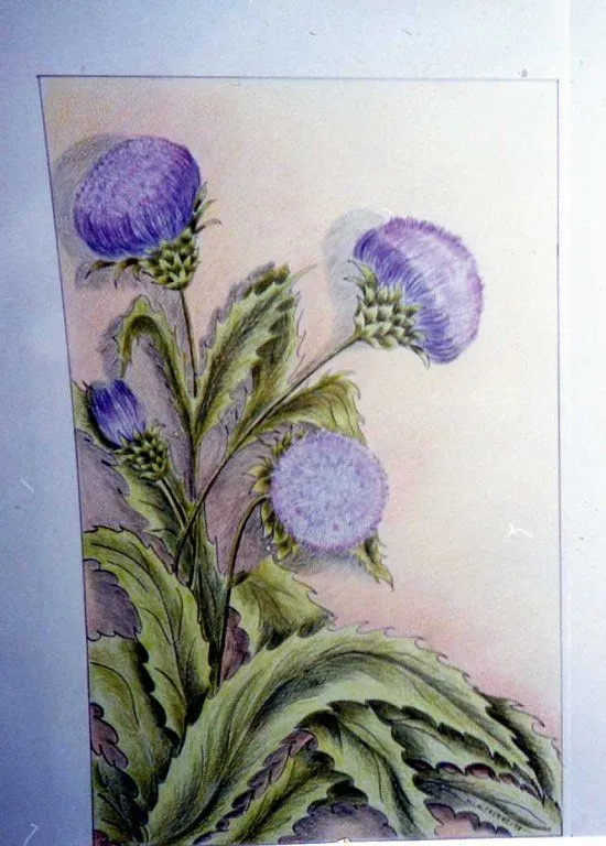 Dibujos en : Lapices de color ,Ceritas y Pastel | Aprender ...