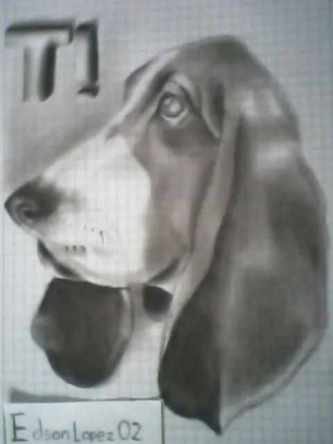 Mis Dibujos a Lapiz Carbon [ Un Perro y Algo Mas ] - Taringa!