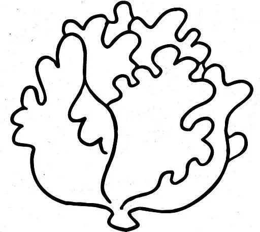 DIBUJOS DE LECHUGAS PARA COLOREAR | Dibujos para colorear
