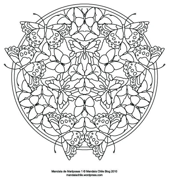 Dibujos de mandalas de mariposas para pintar | Colorear imágenes