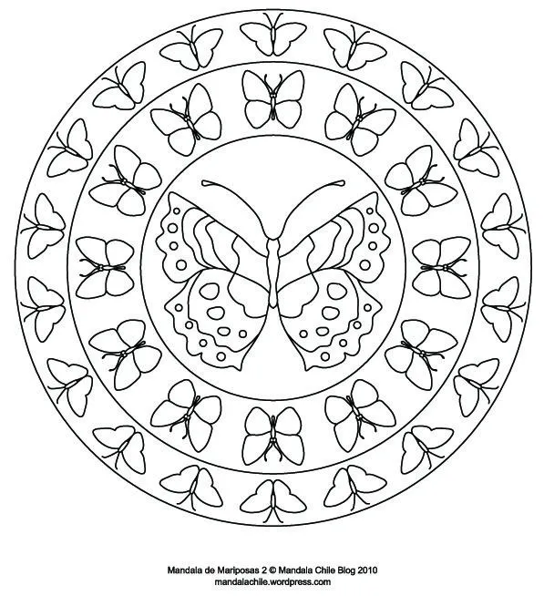 Dibujos de mandalas de mariposas para pintar | Colorear imágenes