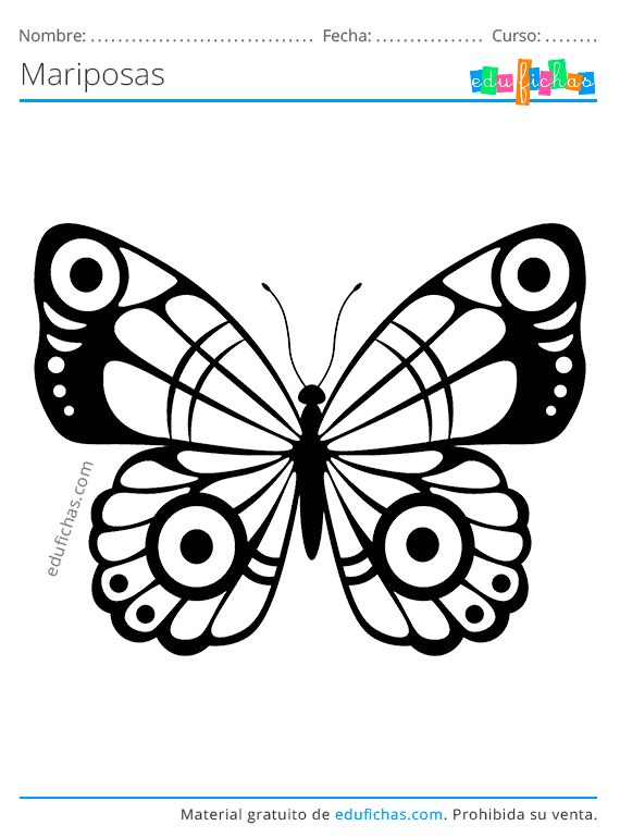 Dibujos de Mariposas para Colorear. Descargar Gratis PDF para Imprimir