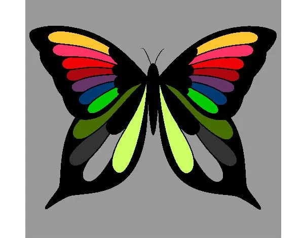 Dibujos de Mariposas para Colorear - Dibujos.net
