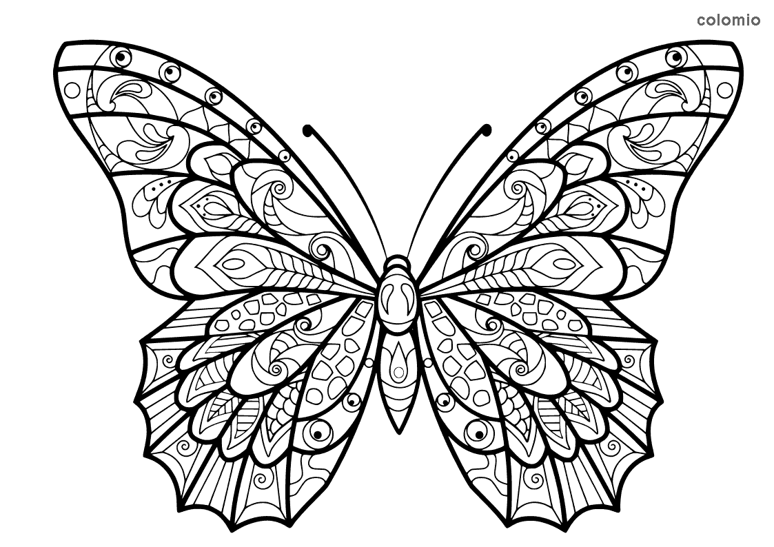 Dibujos de Mariposas para colorear » Imágenes de Mariposa para colorear