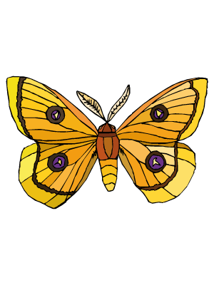 Dibujos de Mariposas para colorear y pintar página 2 - TodoPapás