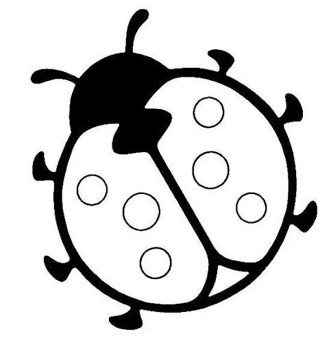 ladybird-coloring-page.jpg? ...