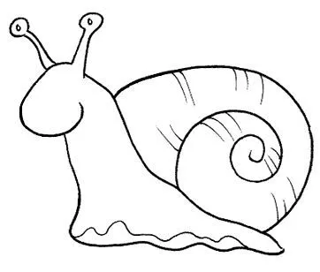 DIBUJOS DE MOLUSCOS PARA COLOREAR