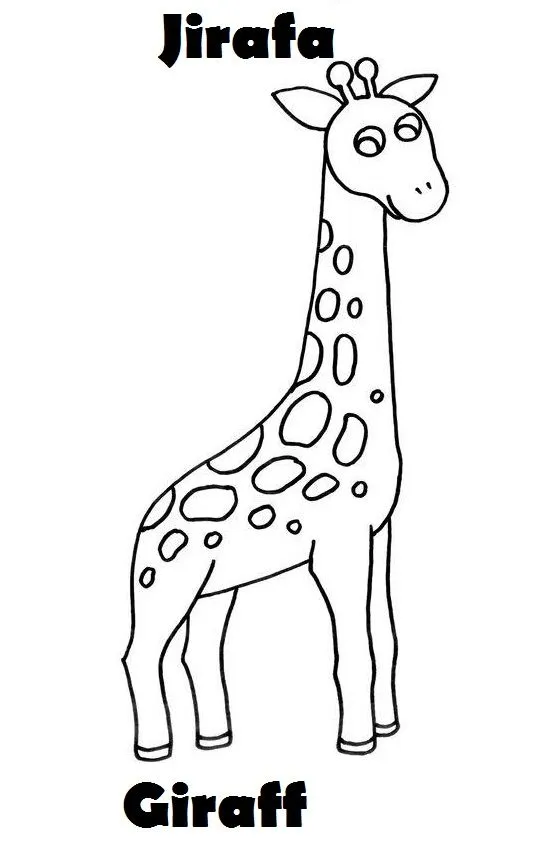 Dibujos de animales con nombre en ingles - Imagui
