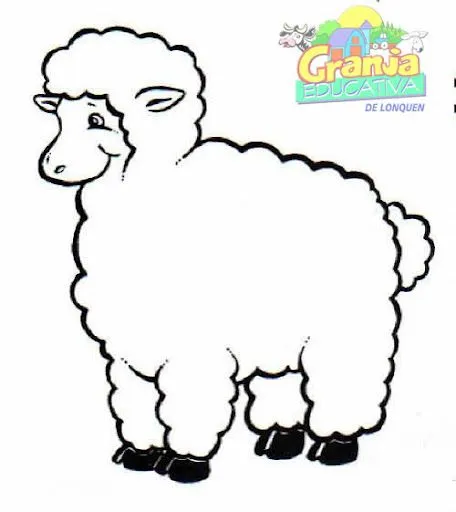 Imagenes de ovejas para colorear - Imagui