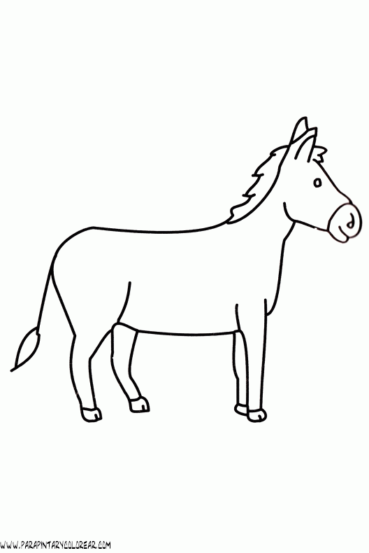 dibujos-para-colorear-de-burros-005