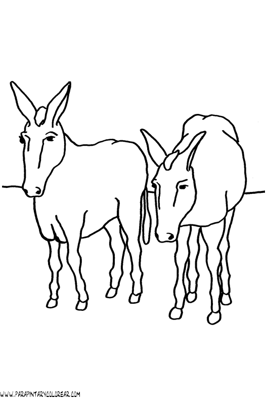 dibujos-para-colorear-de-burros-016