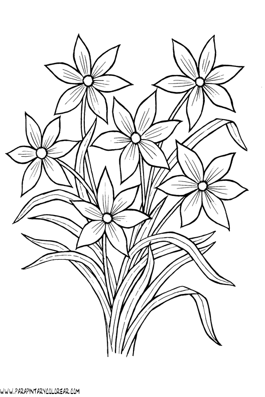 dibujos-para-pintar-de-flores-068