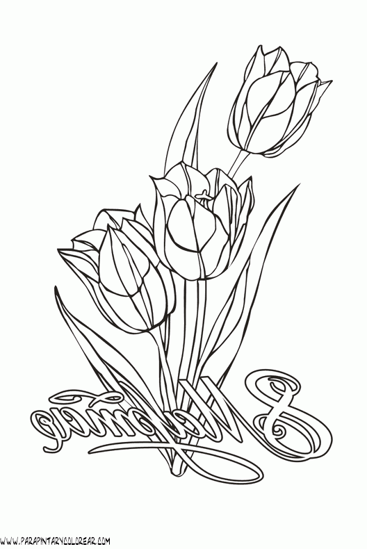 dibujos-para-pintar-de-flores-tulipanes-023