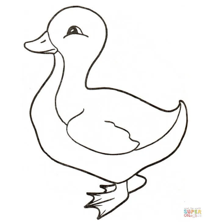 Dibujos de Patos para colorear - Páginas para imprimir y colorear ...