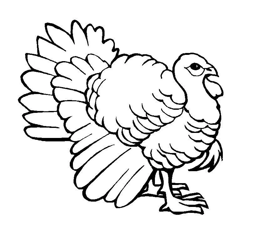 GUAJOLOTE Colouring Pages