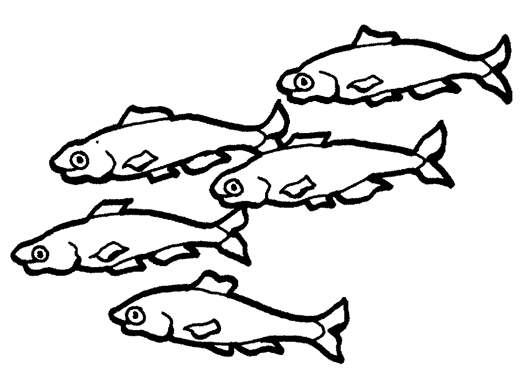 Dibujos de Los peces de la escuela para colorear, peces para colorear ...