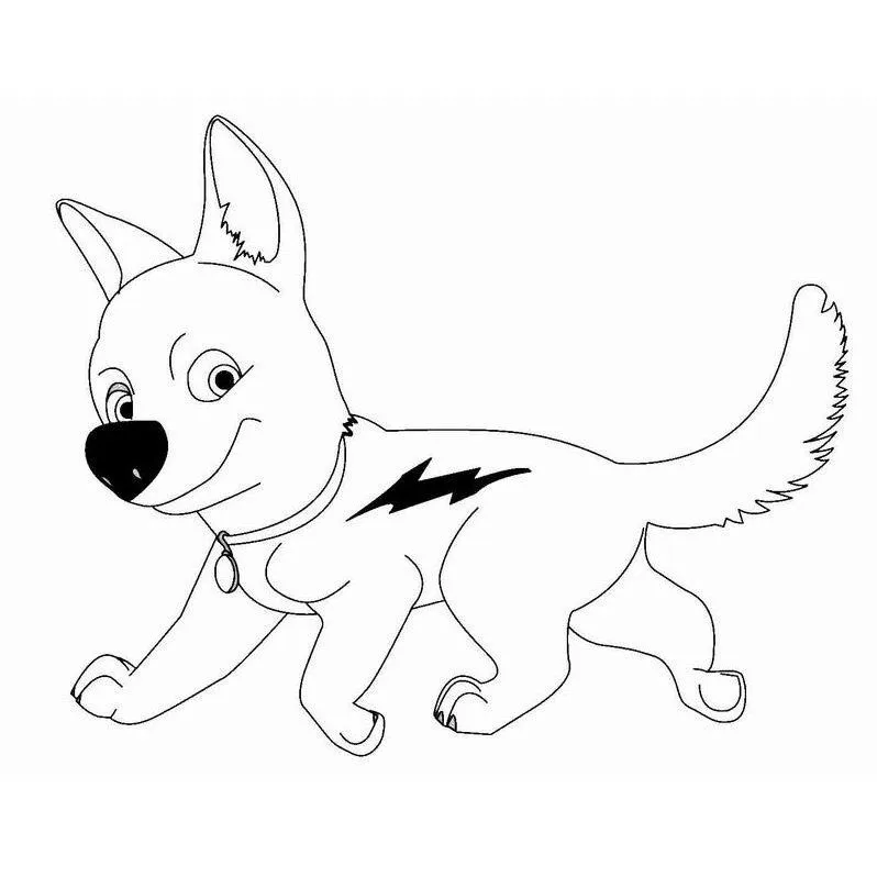 Dibujos de perros para pintar. Dibujos de perros para colorear