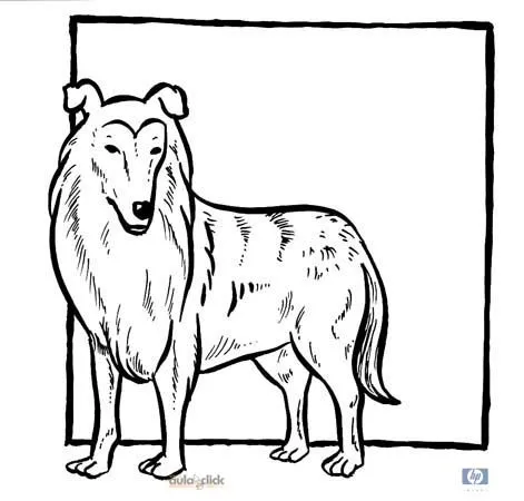 DIBUJOS DE PERROS – SERIE DE PERROS 8