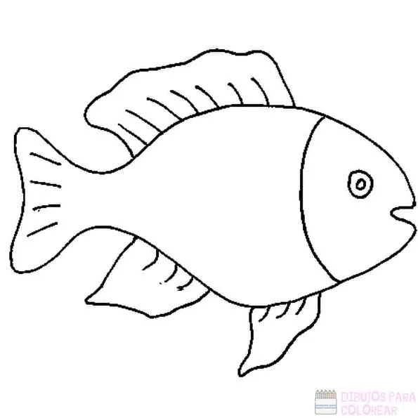 ᐈ Dibujos de Pescado【TOP 30】Un delicioso boceto – Dibujos para Colorear