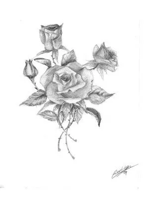 Dibujos de rosas chidas - Imagui