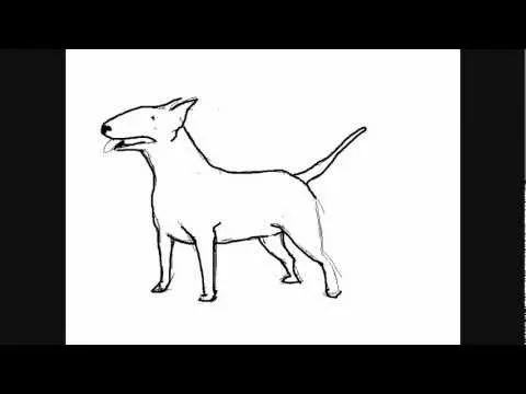 Escuchar Dibujar Perros Perro Bull Terrier Dibujos Para Pintar ...