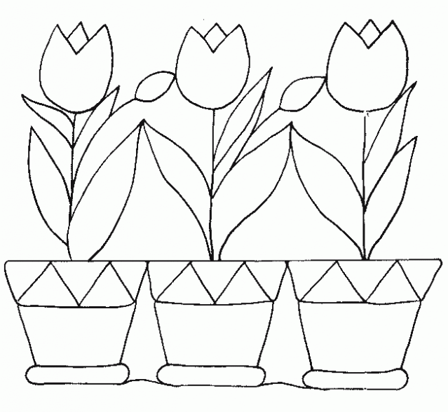 Dibujos de Plantas