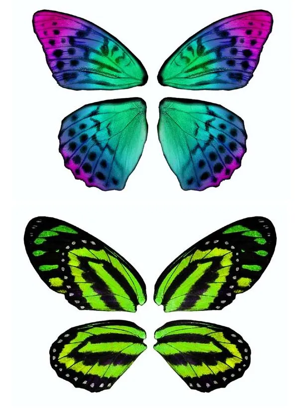 Dibujos y Plantillas para imprimir: Alas mariposas para hadas