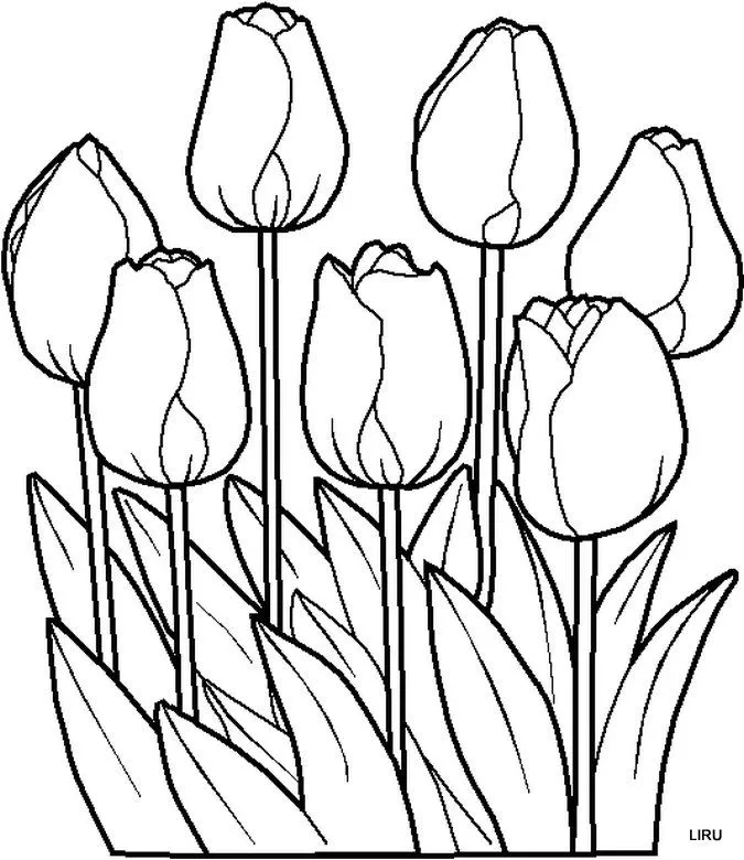 Dibujos y Plantillas para imprimir: dibujos de flores para bordar