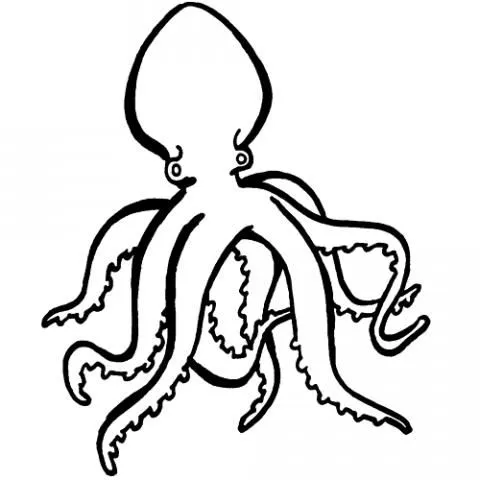 Figuras de pulpos de colores para imprimir - Imagui