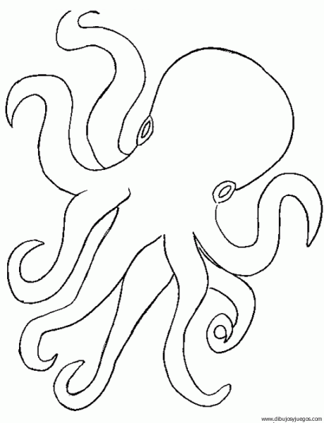 dibujo-de-pulpo-002 | Dibujos y juegos, para pintar y colorear