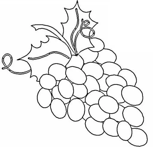 Dibujos de racimos de uvas para colorear - Imagui