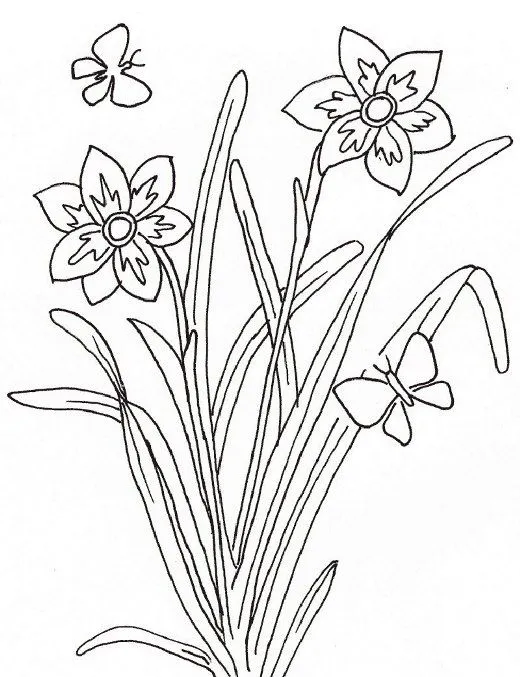 Dibujos del reino vegetal para colorear - Reino vegetal