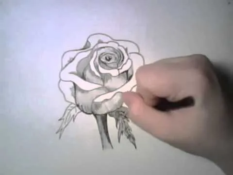 Dibujos de rosas en3D - Imagui