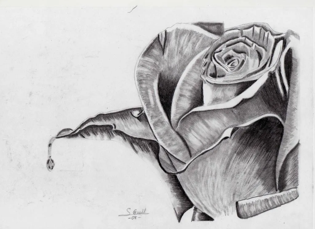 Dibujos de Rosas a Lapiz ~ Vida Blogger