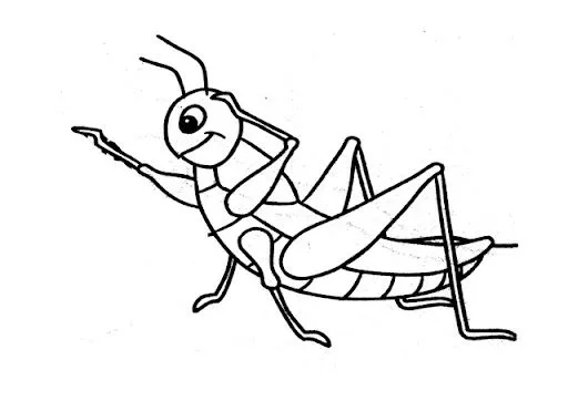 DIBUJOS DE SALTAMONTES PARA PINTAR
