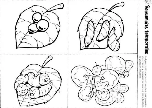 Dibujos de la secuencia de la mariposa - Imagui