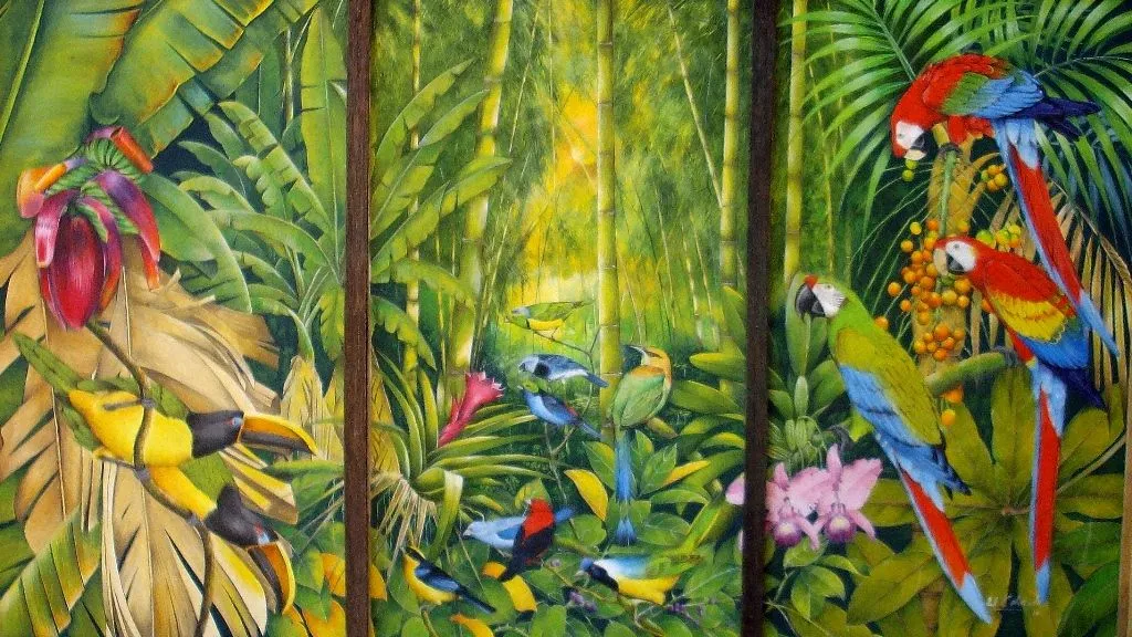 DIBUJO.selva tropical - Imagui