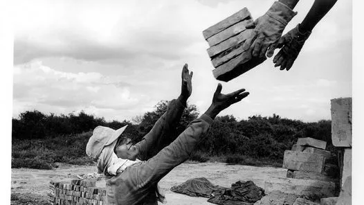 Columna: La explosión de la solidaridad