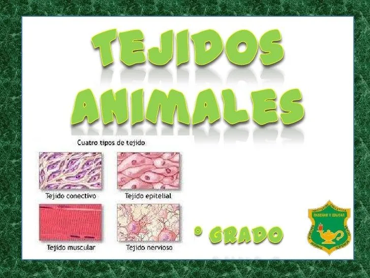 Tejido animal dibujo - Imagui